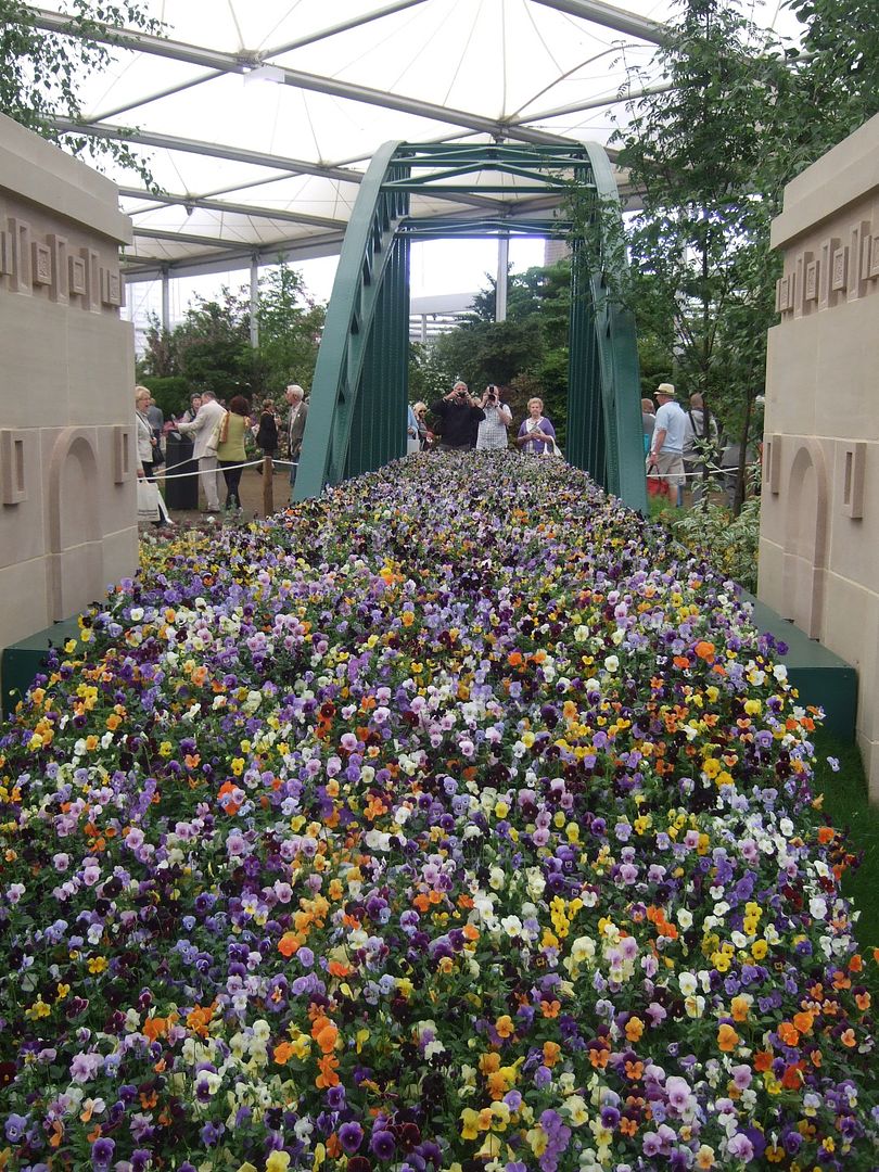 CHELSEA FLOWER SHOW Part 2 INSIDE THE GREAT PAVILION